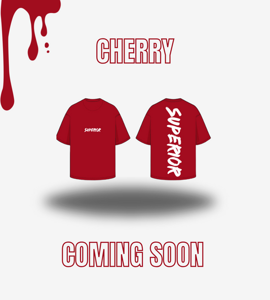 OVERSIZED T-SHIRT | CHERRY